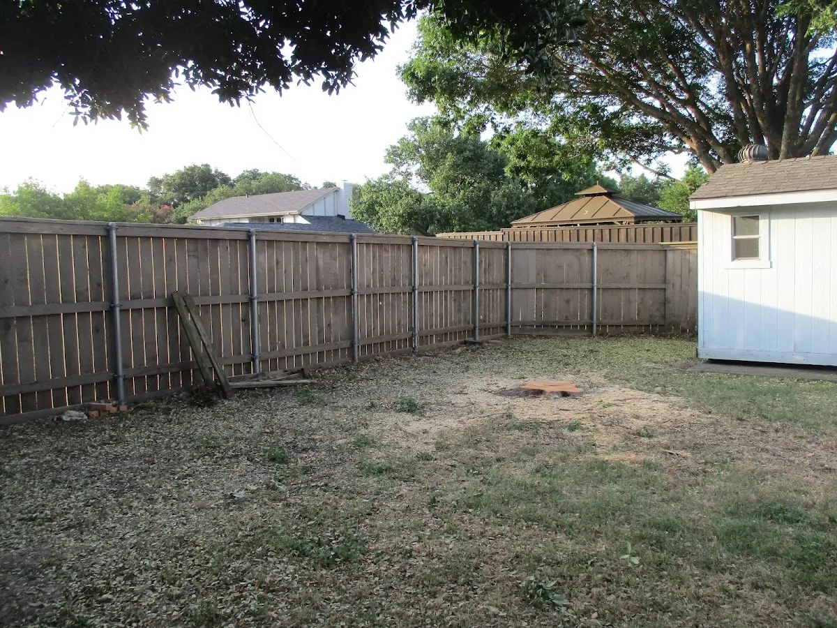 Cleared yard after professional tree removal in Knox Dale